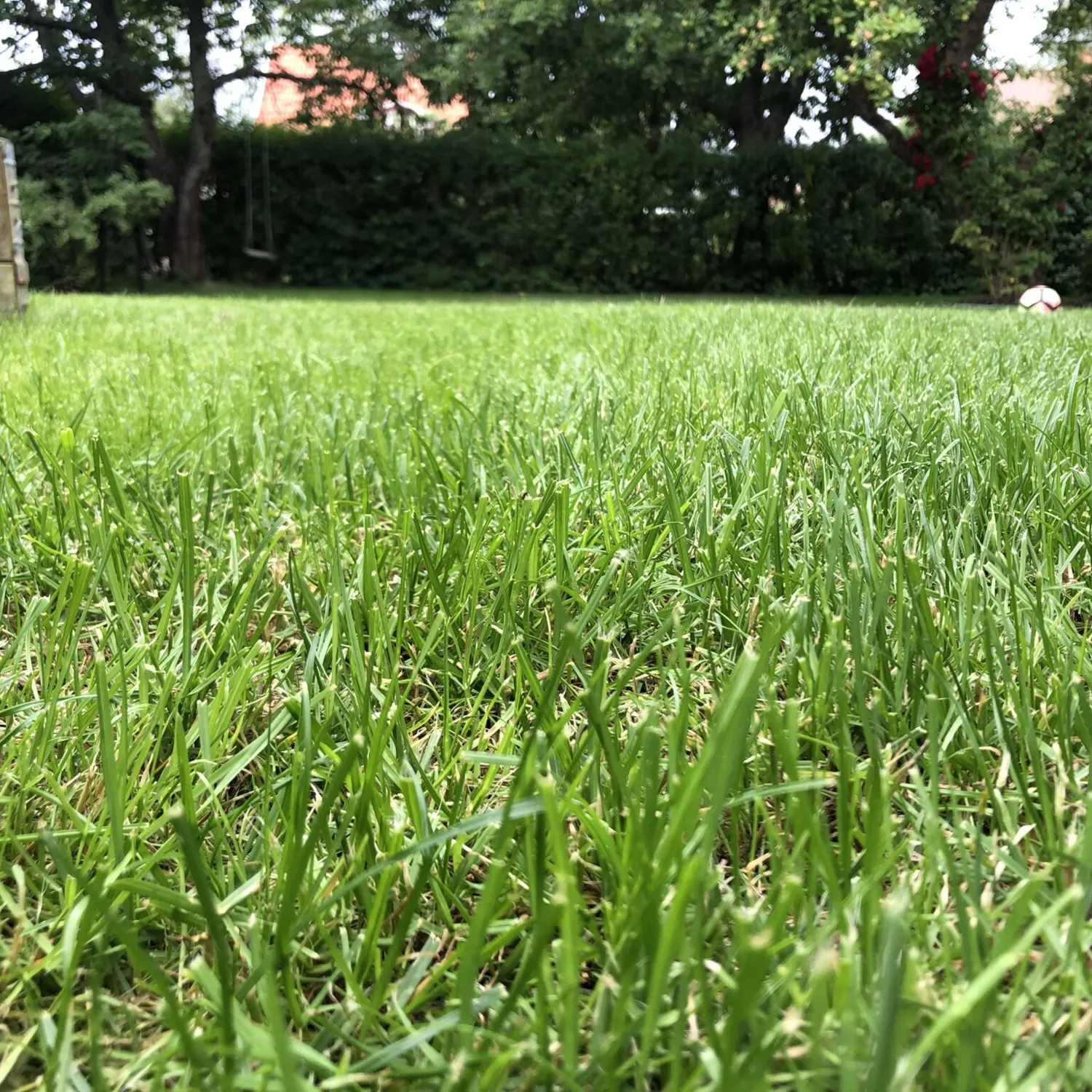 Photo 2019 07 15 12 09 15